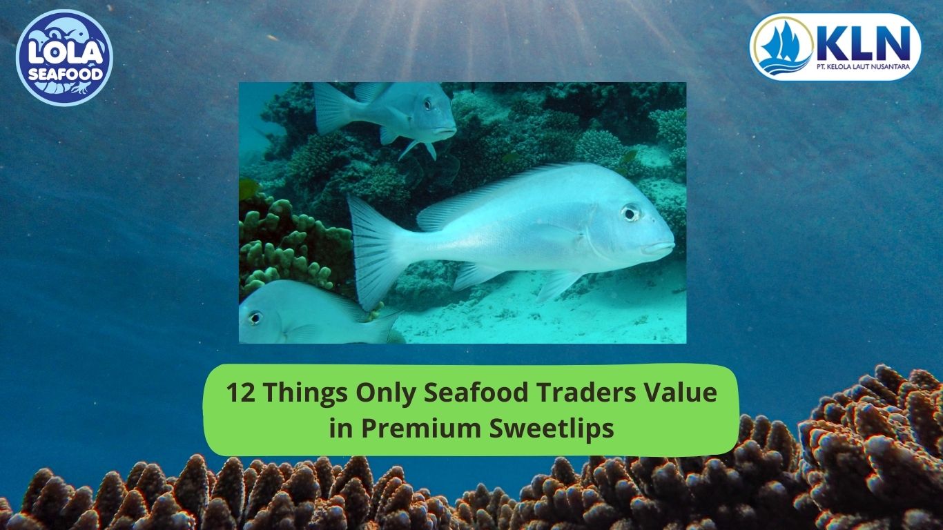 12 Things Only Seafood Traders Value in Premium Sweetlips
